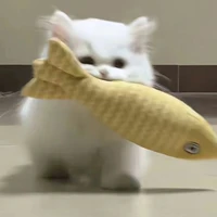 Meo iu Heng