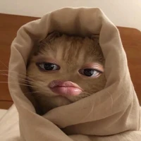 tác giả tội lỗi số 1 thế giới😭