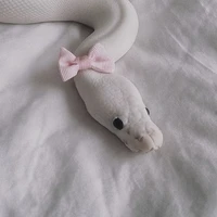 Pháp Kiều ( dạng rắn)