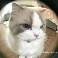 Changgg_vợ