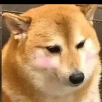 tất cả hiha phản diện
