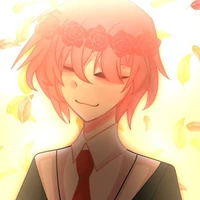 TT hiha