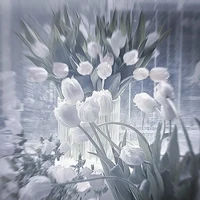 tất cả (trừ ai trừ )