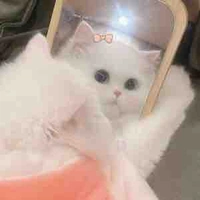 iu cái đẹp💕