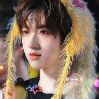 Hạ Tuấn Lâm