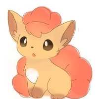 rokon