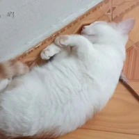 nhỏ t/g