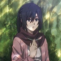 Mikasa ackerman