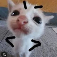 t/g