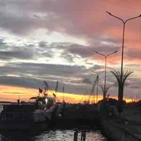 tg bị điên đừng chấp