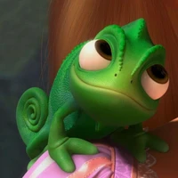 ✨️Pascal✨️