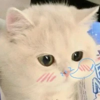 quỷ tác giả
