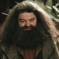 Rubeus Hagrid