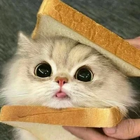 Hệ thống cute nhất thgioiii