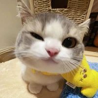 Tác giả:)))))))))