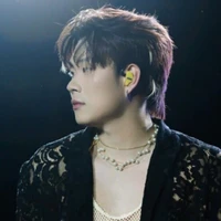 T. Đăng Dương - Domic