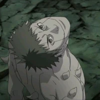 Bạch Zetsu