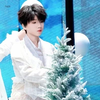 Nhiếp Vĩ Thần_Nhiếp tổng