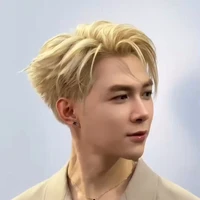 Bùi Anh Tú