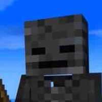Skeleton Wither