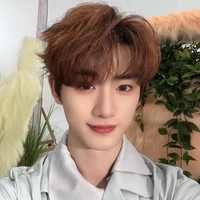 Đinh Trình Hâm