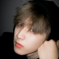 Lưu Diệu Văn
