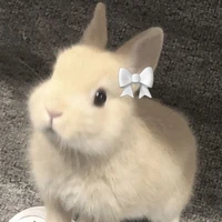 Hệ thống 2008-July