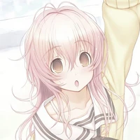 Mita