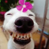 T/g xanhgai💅