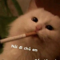 Cakbaytoiroi🥴