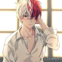 Shoto Todoroki