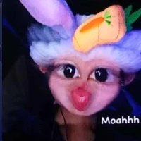 hệ thống | xâm lược |