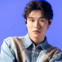 dương domic