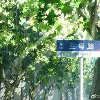 Hiệu trưởng 