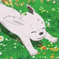 Akamaru