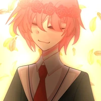 TT hiha