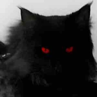 All | Những người có mặt tại đó |