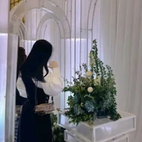 Anh Tuyet - Tác Giả