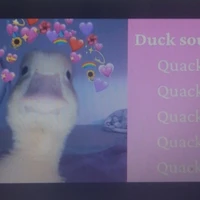 vịt Quack Quack