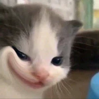 tác giả cute nhất thế giới 😍