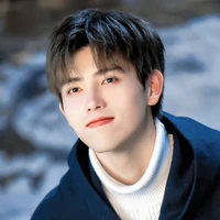 Trần Phi Vũ