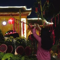 Pychee ( Mận )