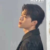 Bùi Anh tú