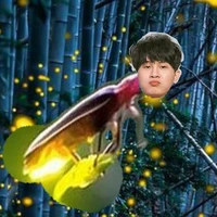 đom đóm chúa