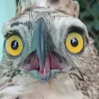 chị đại lớn😏