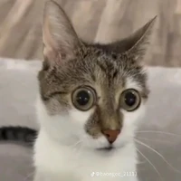 mn trong lớp của chance