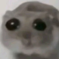 hệ thống của chance