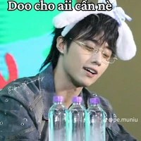 Hải Đăng Doo