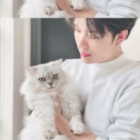 trần đăng dương( dương domic)