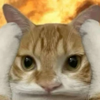 Cheee đi đâu rồi?